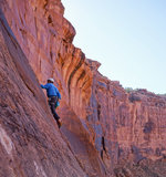 Rock Climber